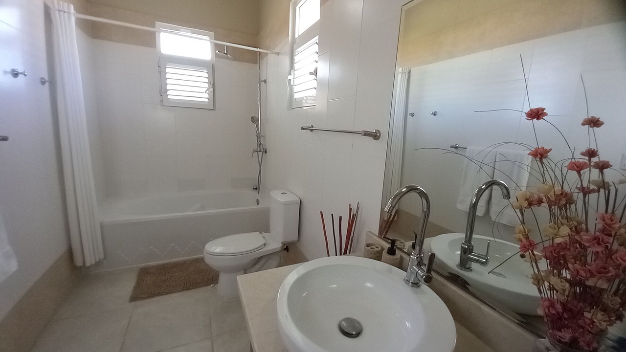Photo of Bathroom in Sosua