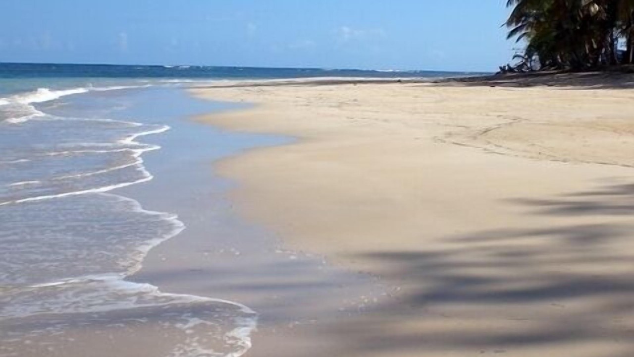 Photo of Others in Las Terrenas