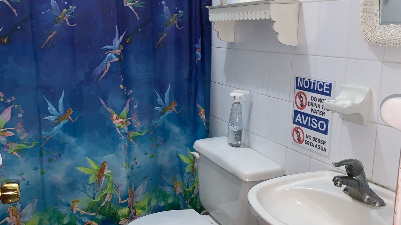 Photo of Bathroom in Tamboril