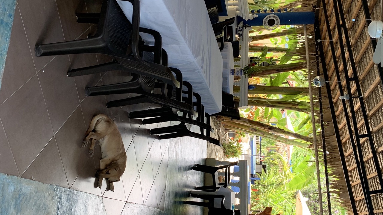 Photo of Outdoor in Tamboril