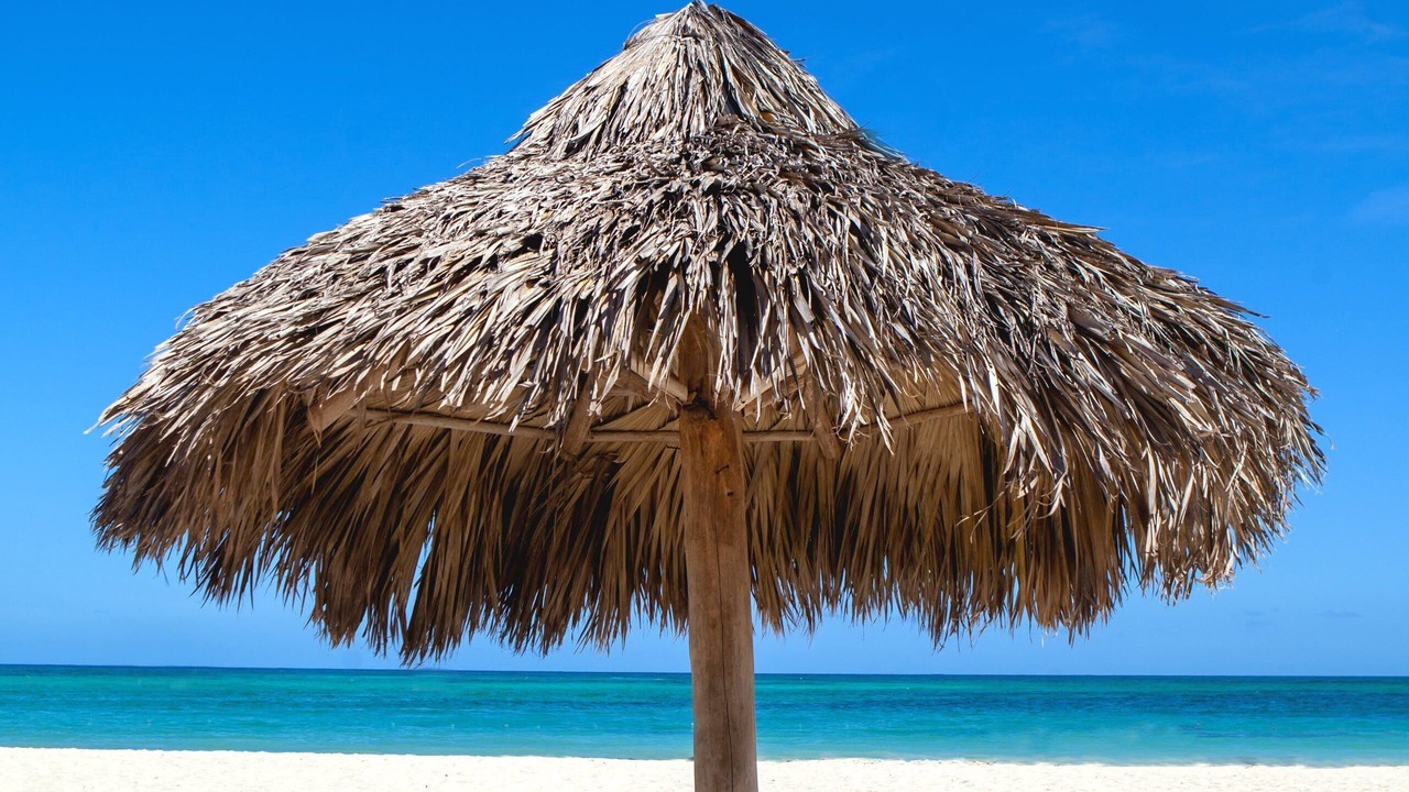 Photo of Others in Bavaro