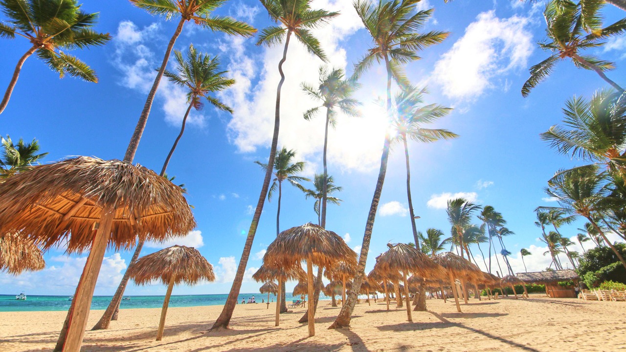 Photo of Others in Bavaro