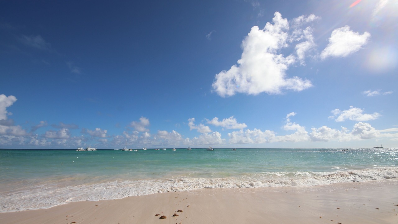 Photo of Others in Bavaro
