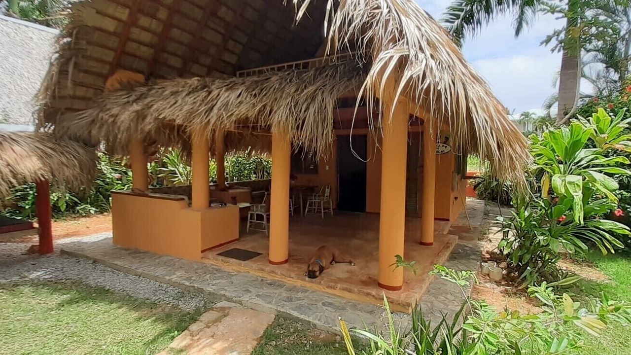 Photo of Outdoor in Las Galeras