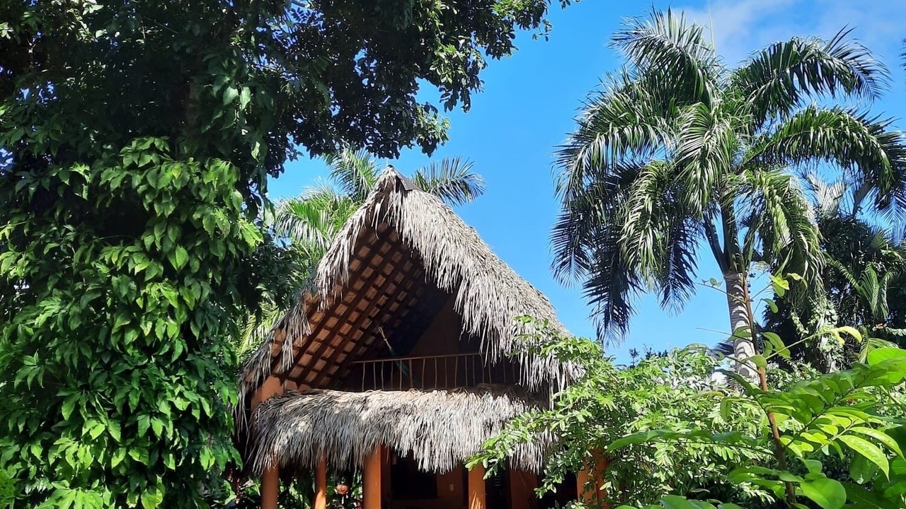 Photo of Outdoor in Las Galeras