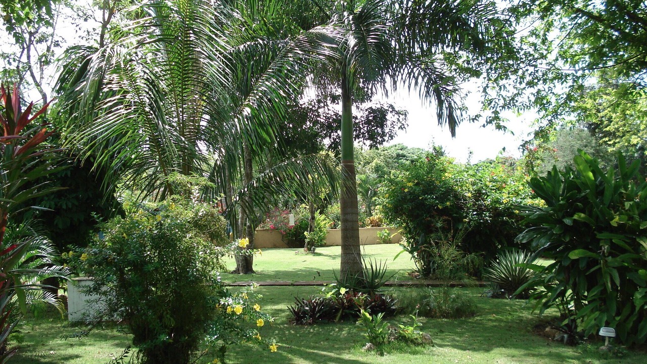 Photo of Outdoor in Las Galeras