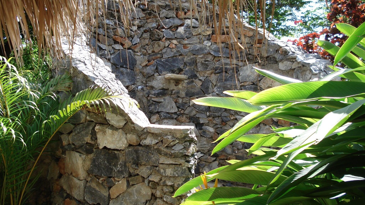 Photo of Outdoor in Las Galeras