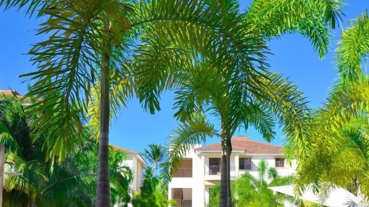 Photo of Outdoor in El Cortecito