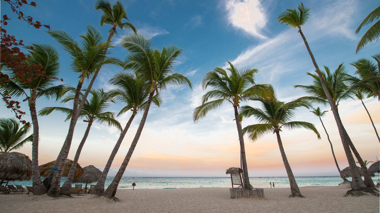 Photo of Others in Bavaro