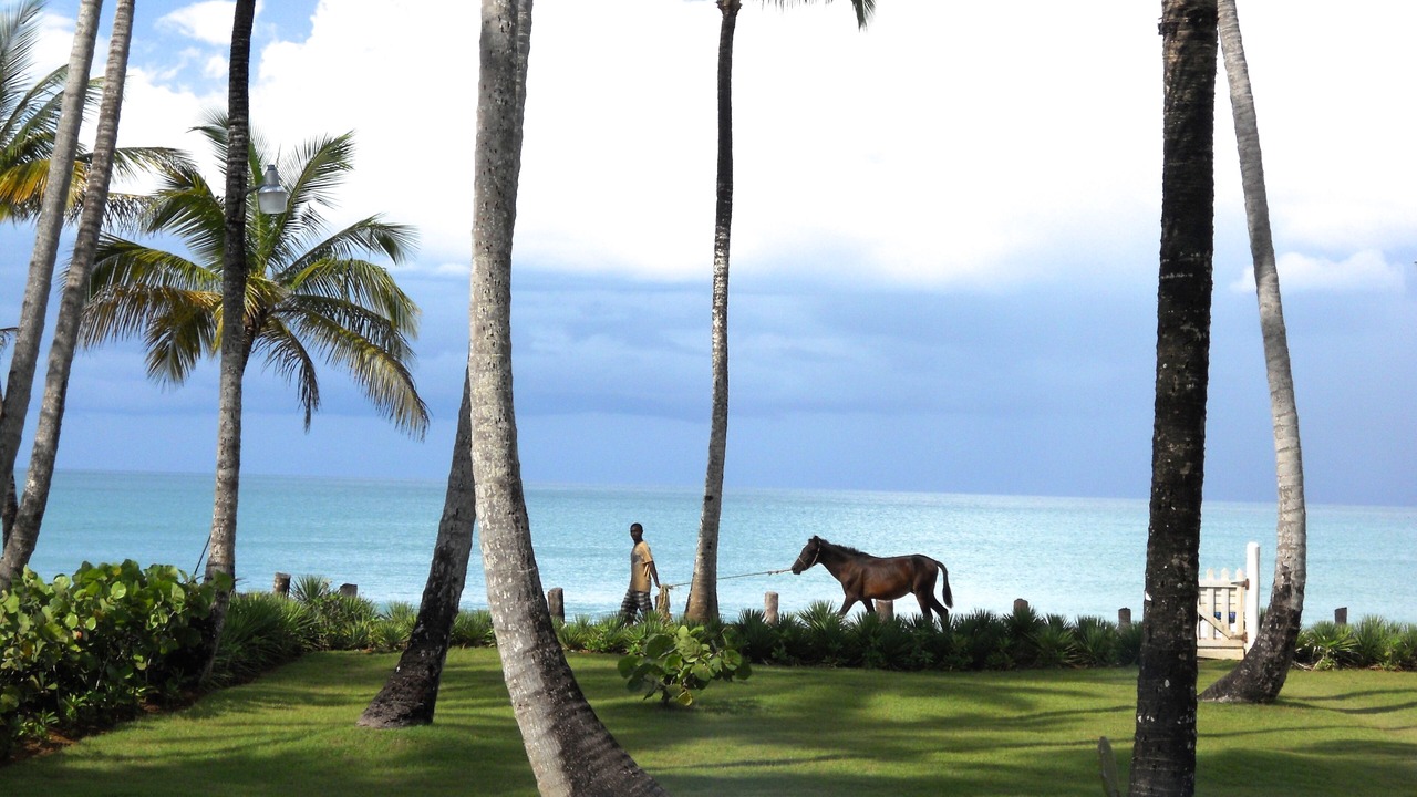 Photo of Outdoor in Las Terrenas