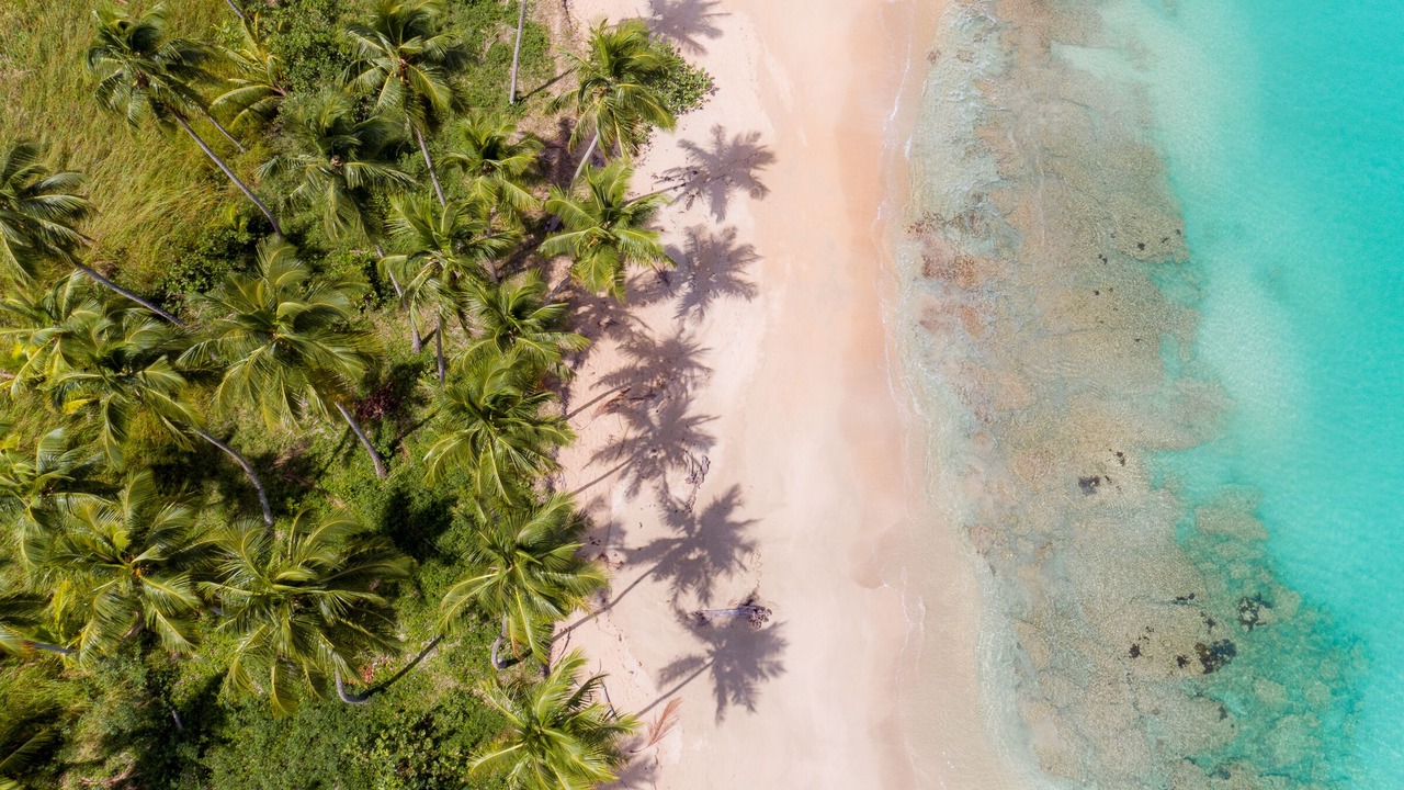 Photo of Others in Las Terrenas