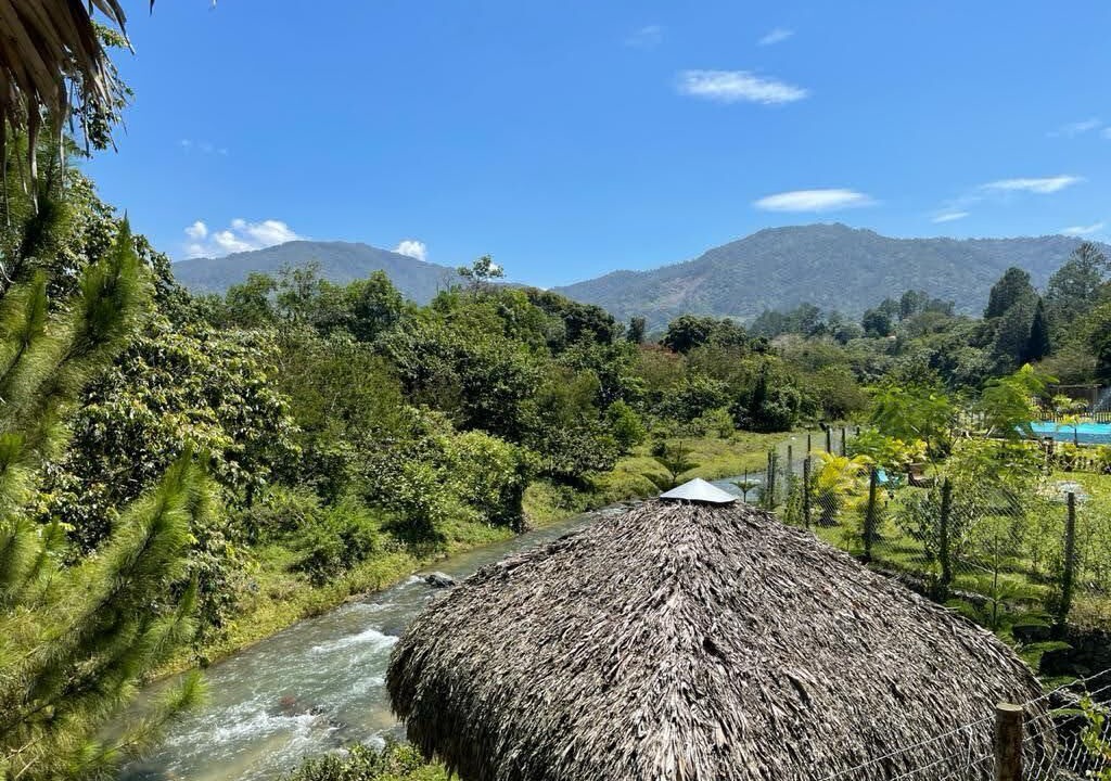 Photo of Outdoor in La Joya