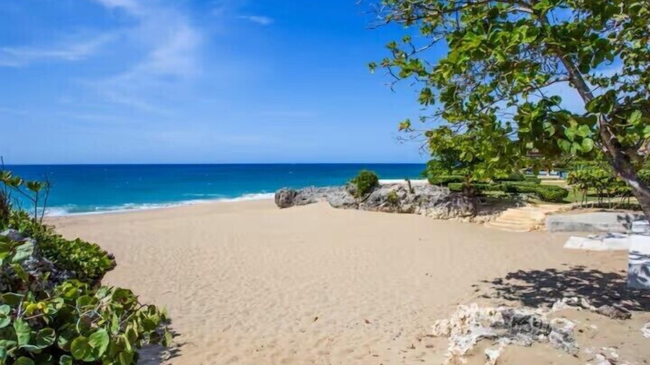 Photo of Others in Playa Chiquita
