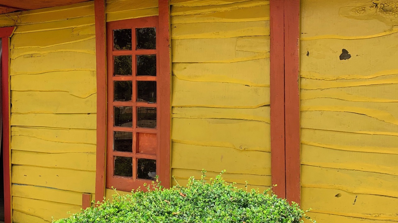 Photo of Outdoor in Higuey