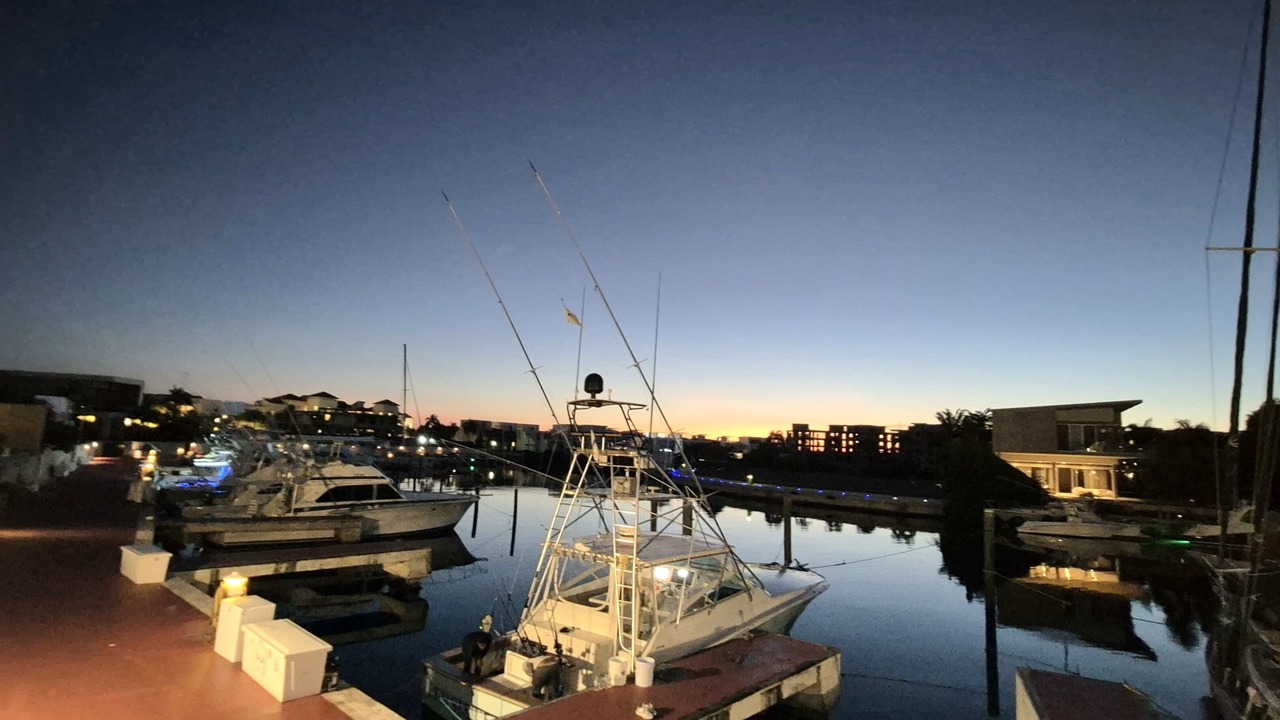 Photo of Others in Cap Cana Marina