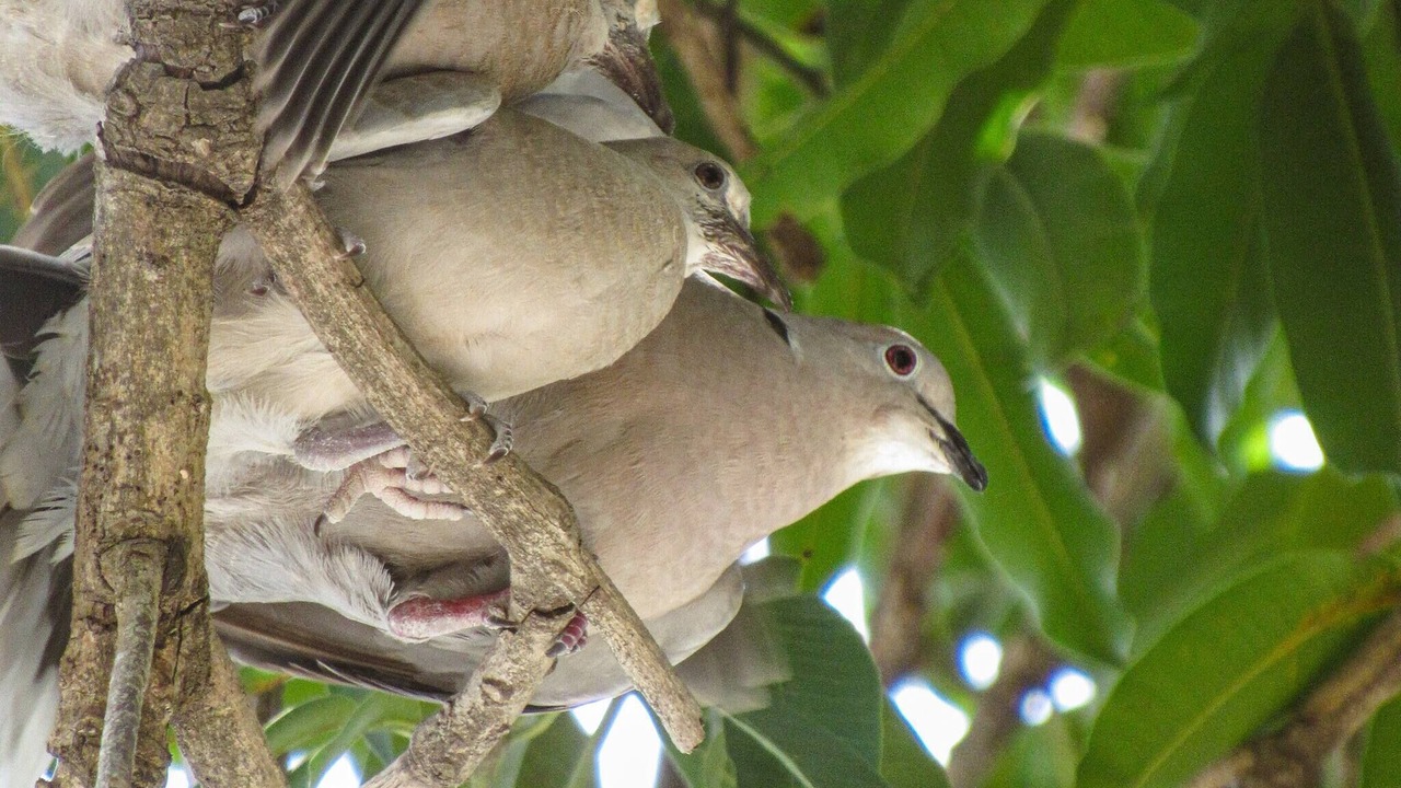 Photo of Others in San Juan Province