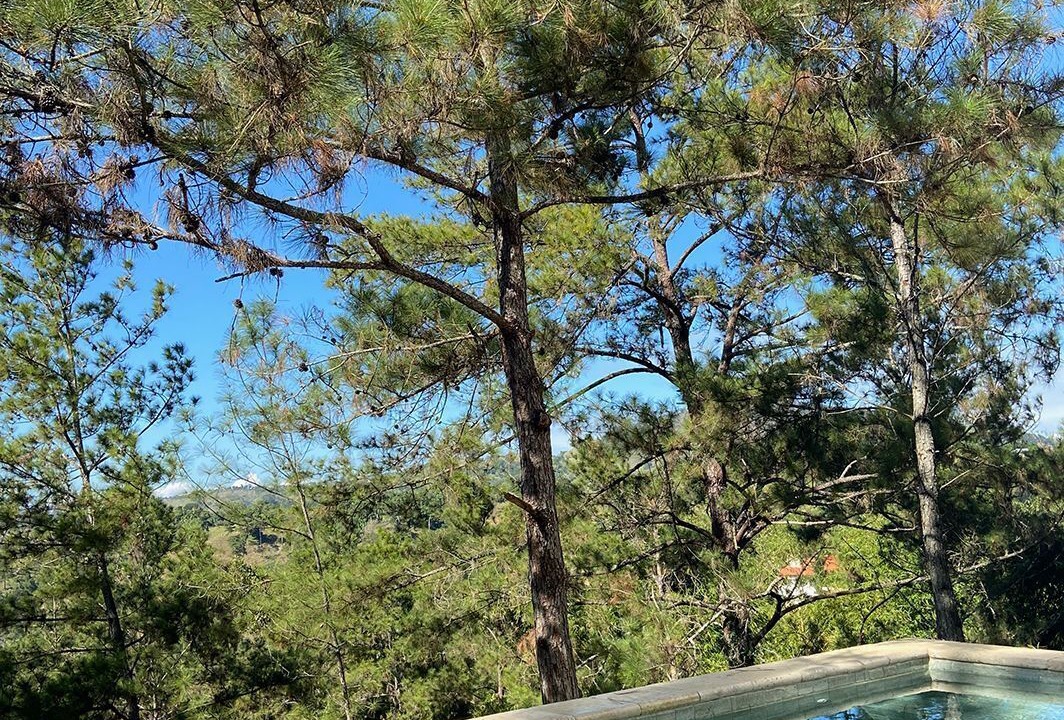 Photo of Outdoor in Jarabacoa