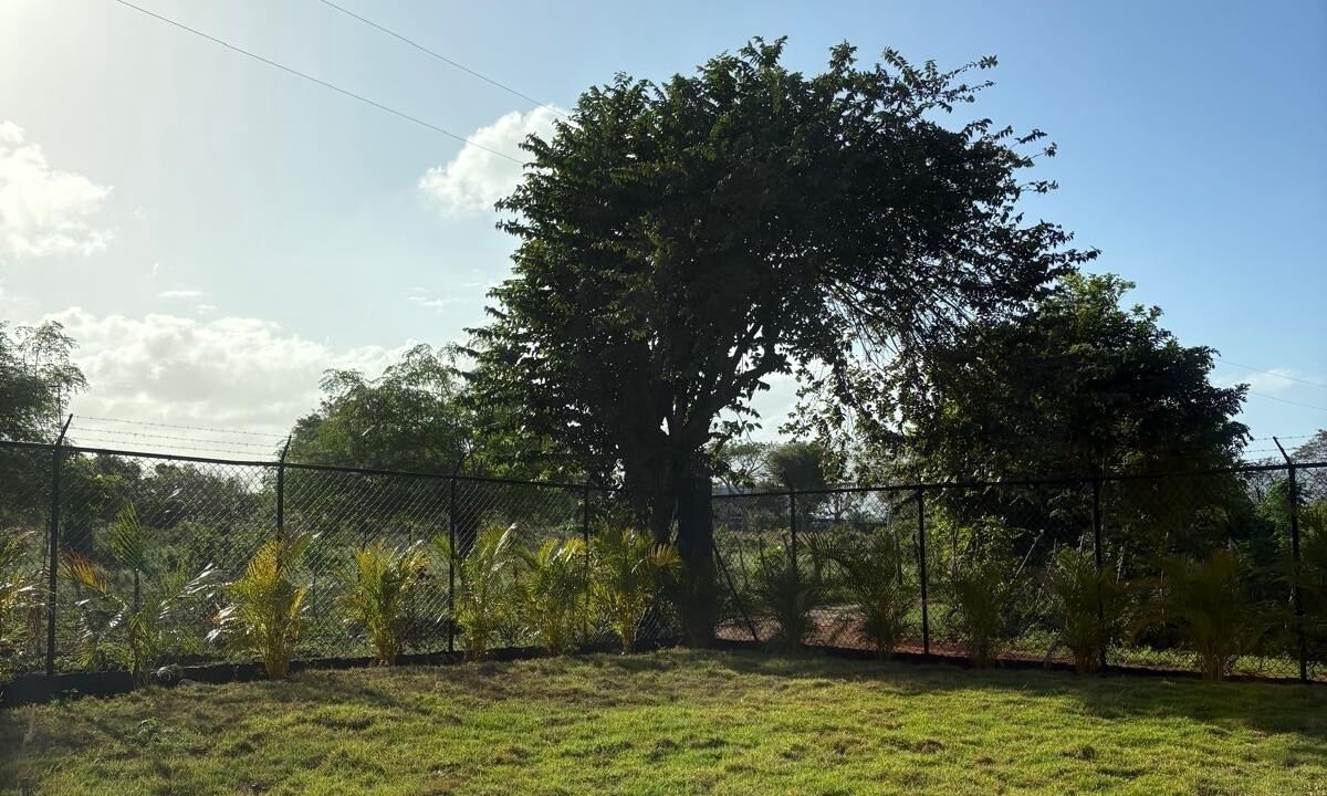 Photo of Outdoor in Las Galeras