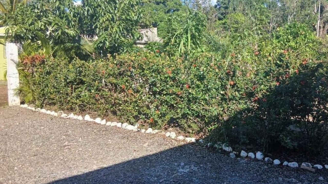 Photo of Outdoor in Bonao
