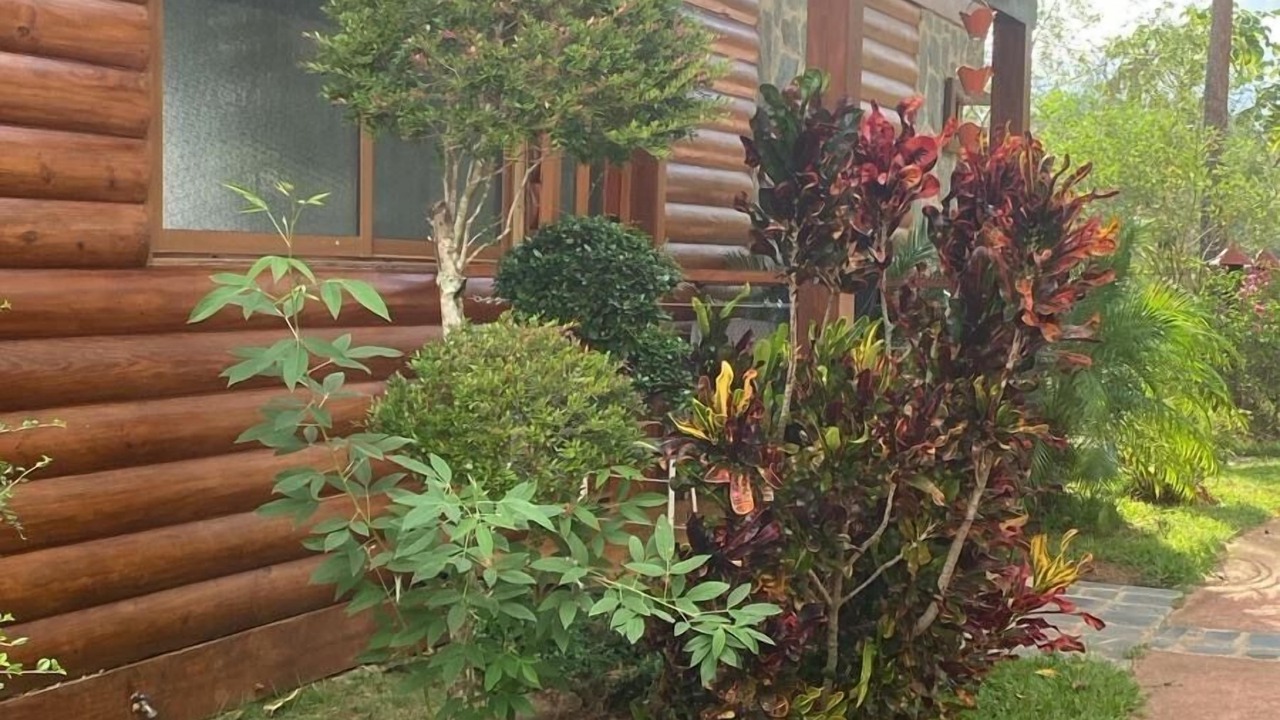 Photo of Outdoor in Pinar Quemado