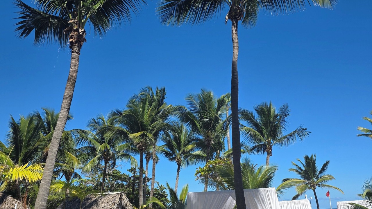 Photo of Outdoor in Puerto Plata