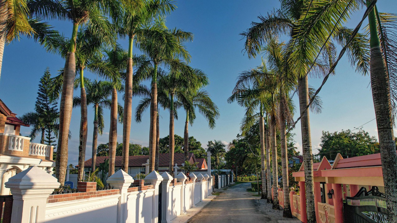 Photo of Outdoor in Sanchez