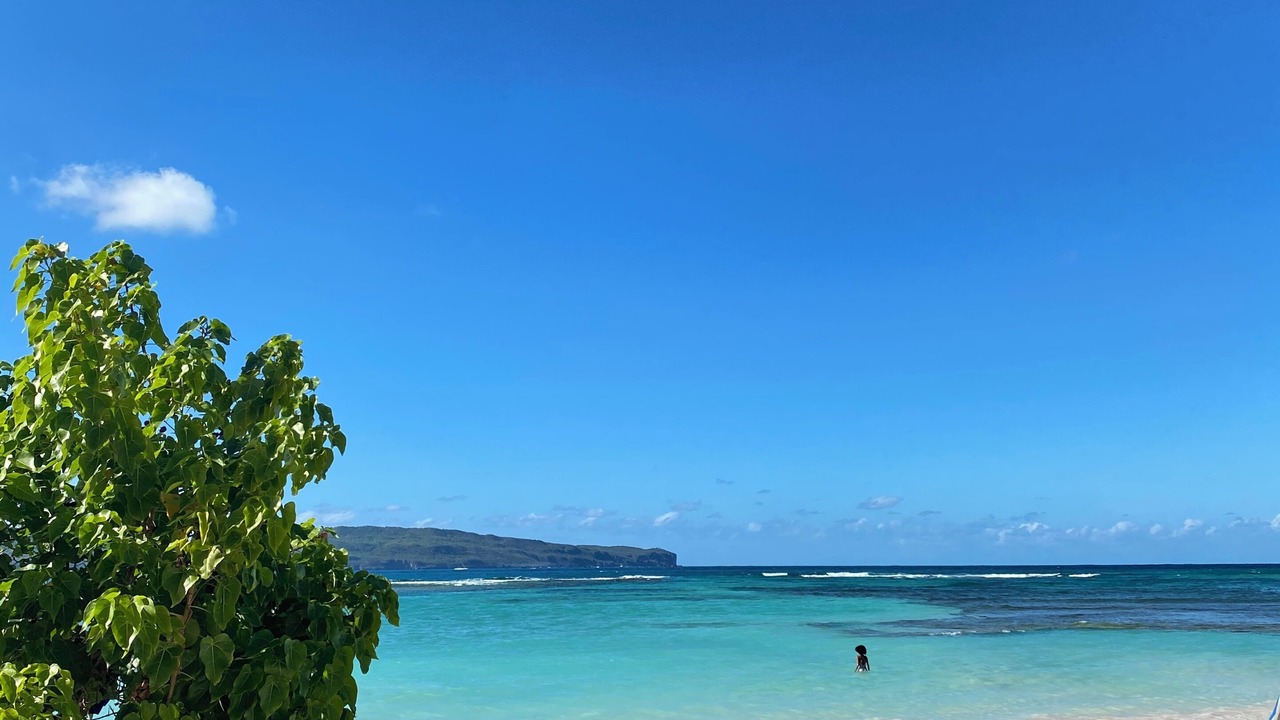 Photo of Others in Las Galeras
