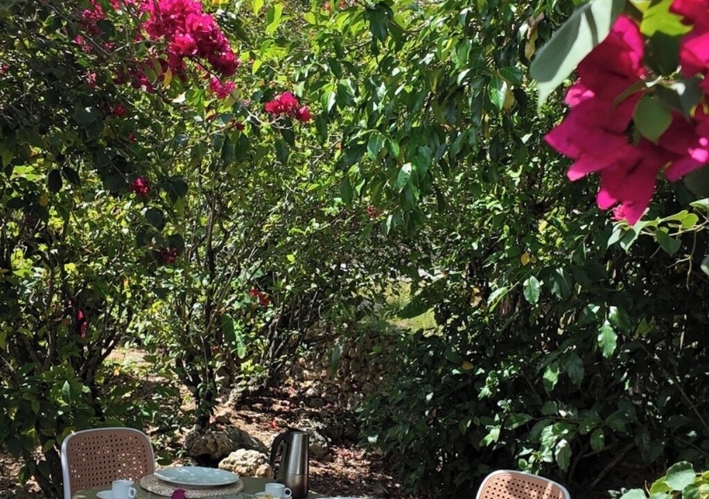 Photo of Outdoor in Rio San Juan