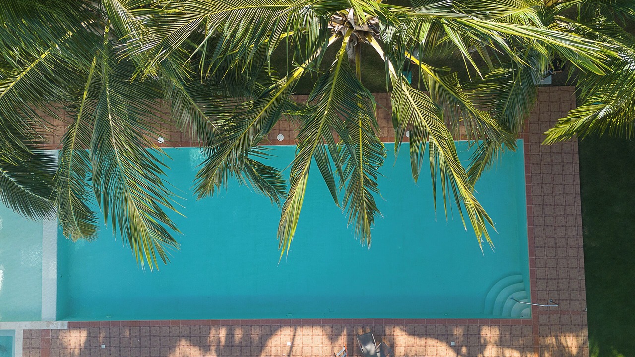 Photo of Outdoor in Playa Bibijagua