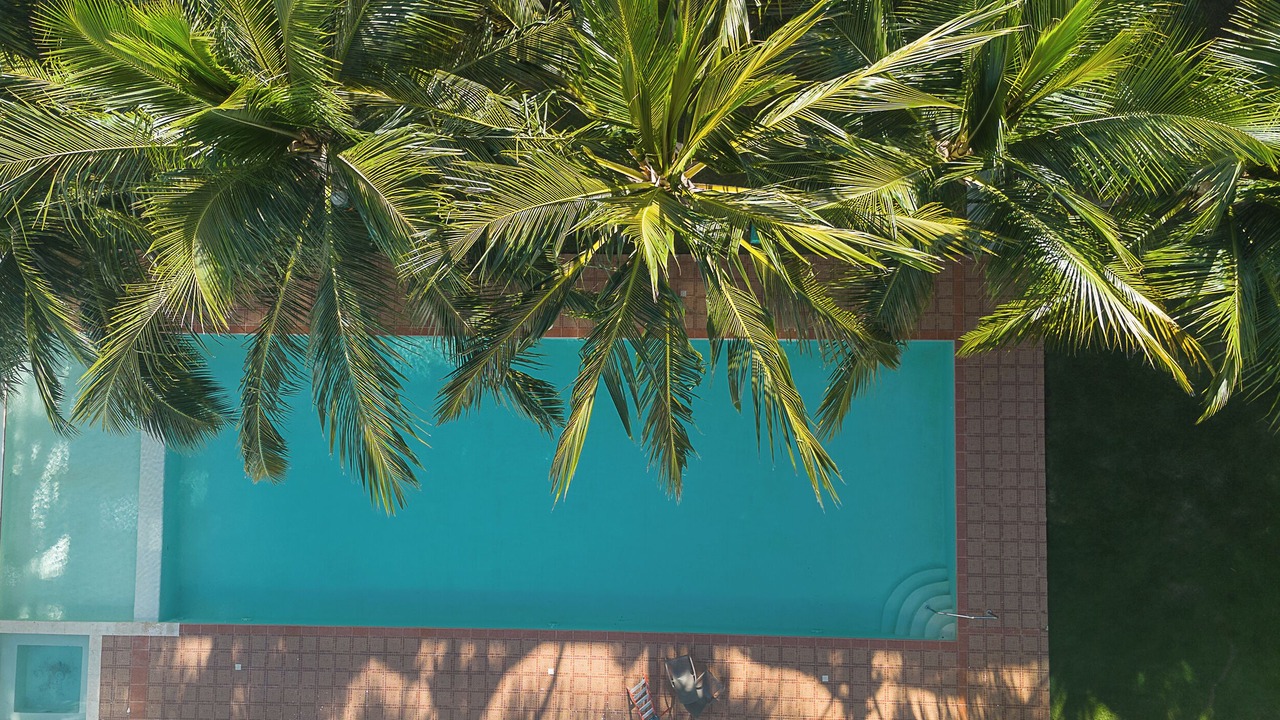 Photo of Outdoor in Playa Bibijagua