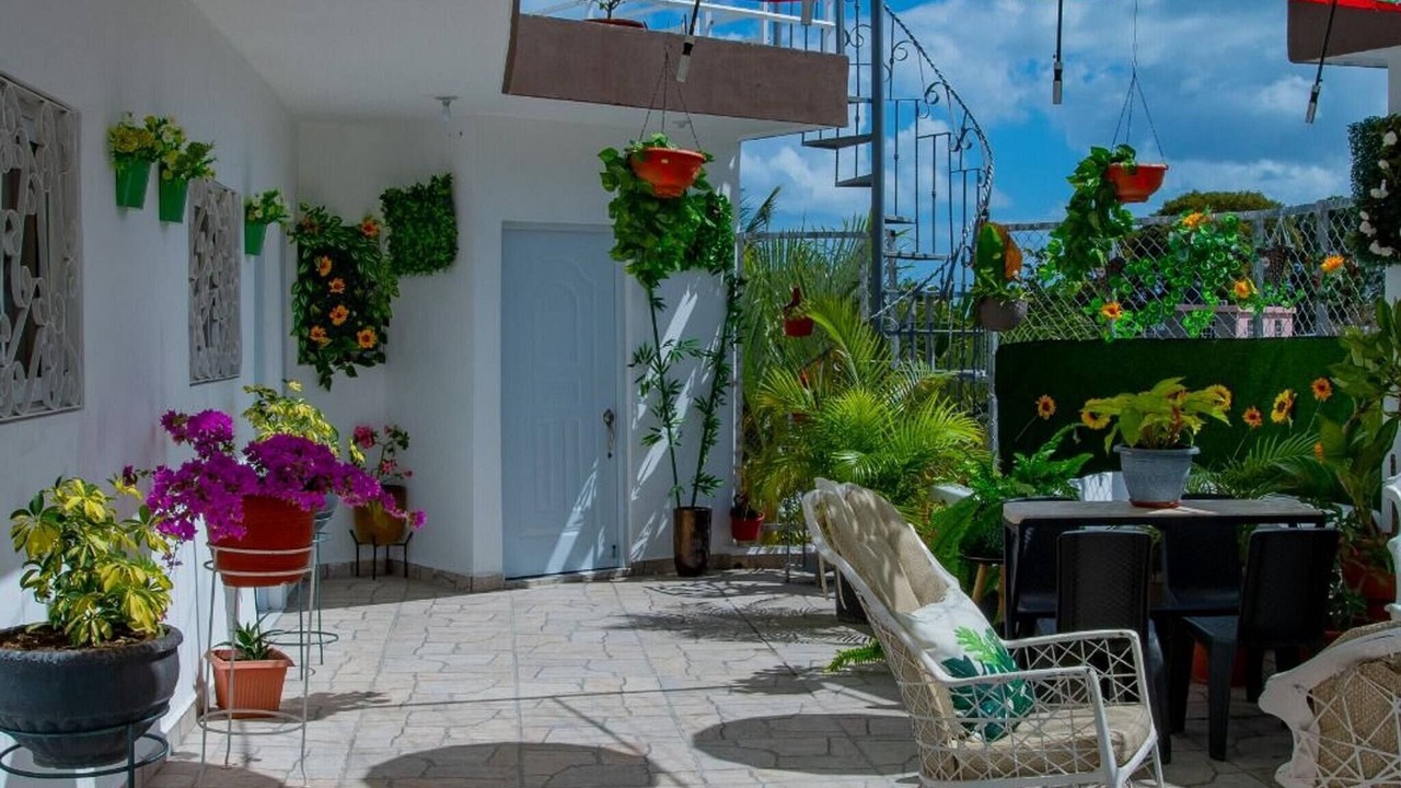 Photo of Patio Balcony in Los Maestros