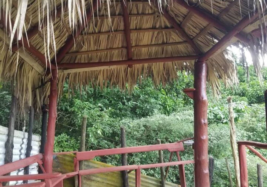 Photo of Outdoor in Jarabacoa