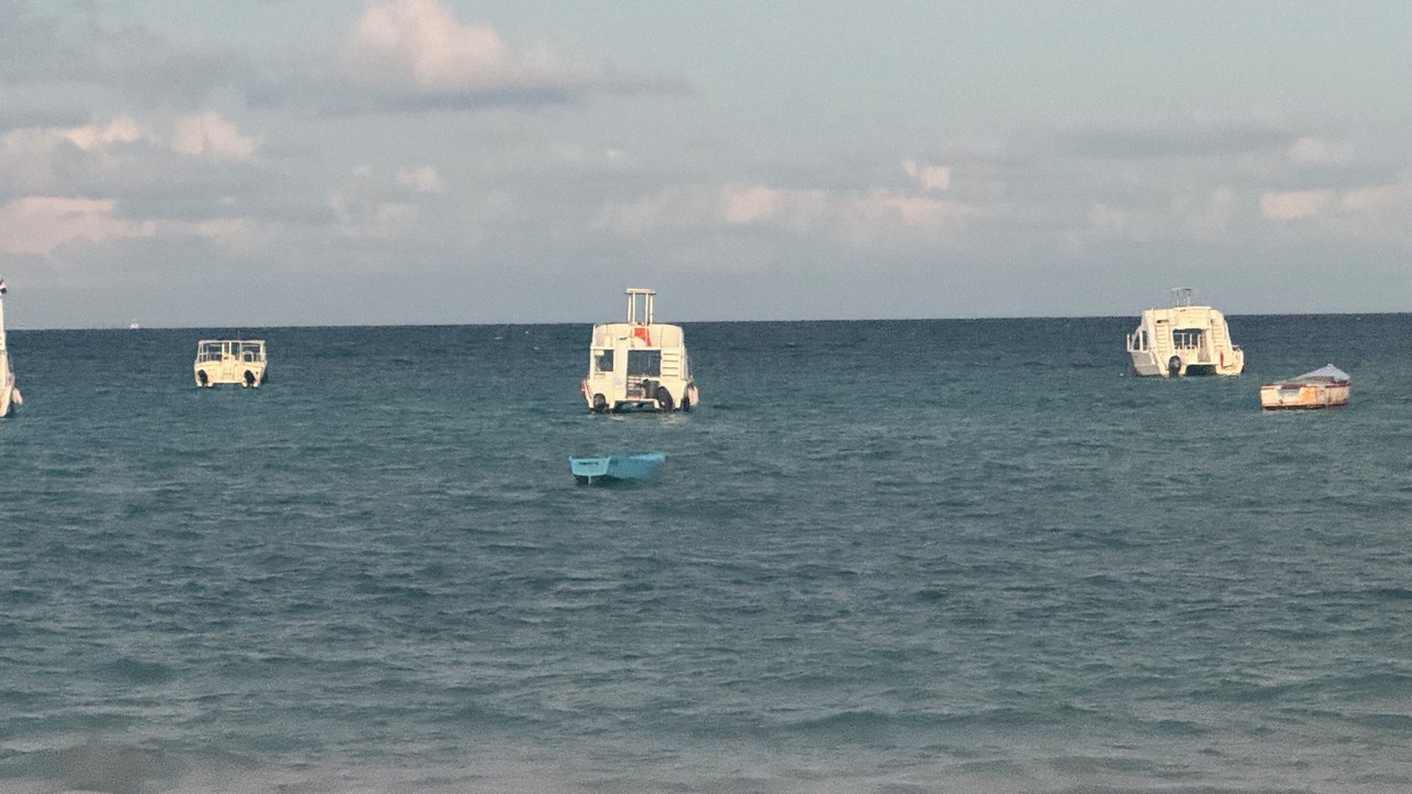 Photo of Others in Playa Bibijagua