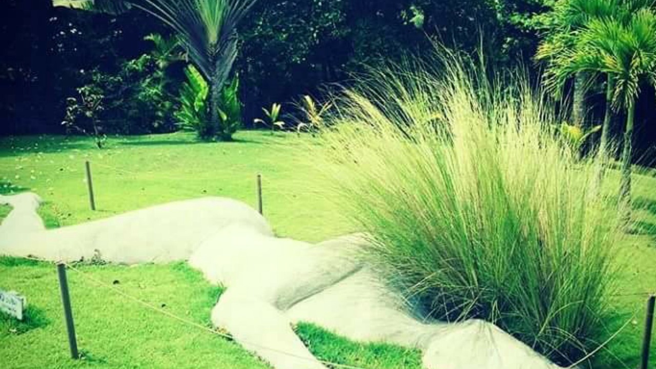 Photo of Outdoor in Las Terrenas