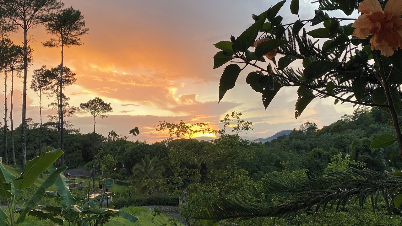 Photo of Outdoor in Constanza