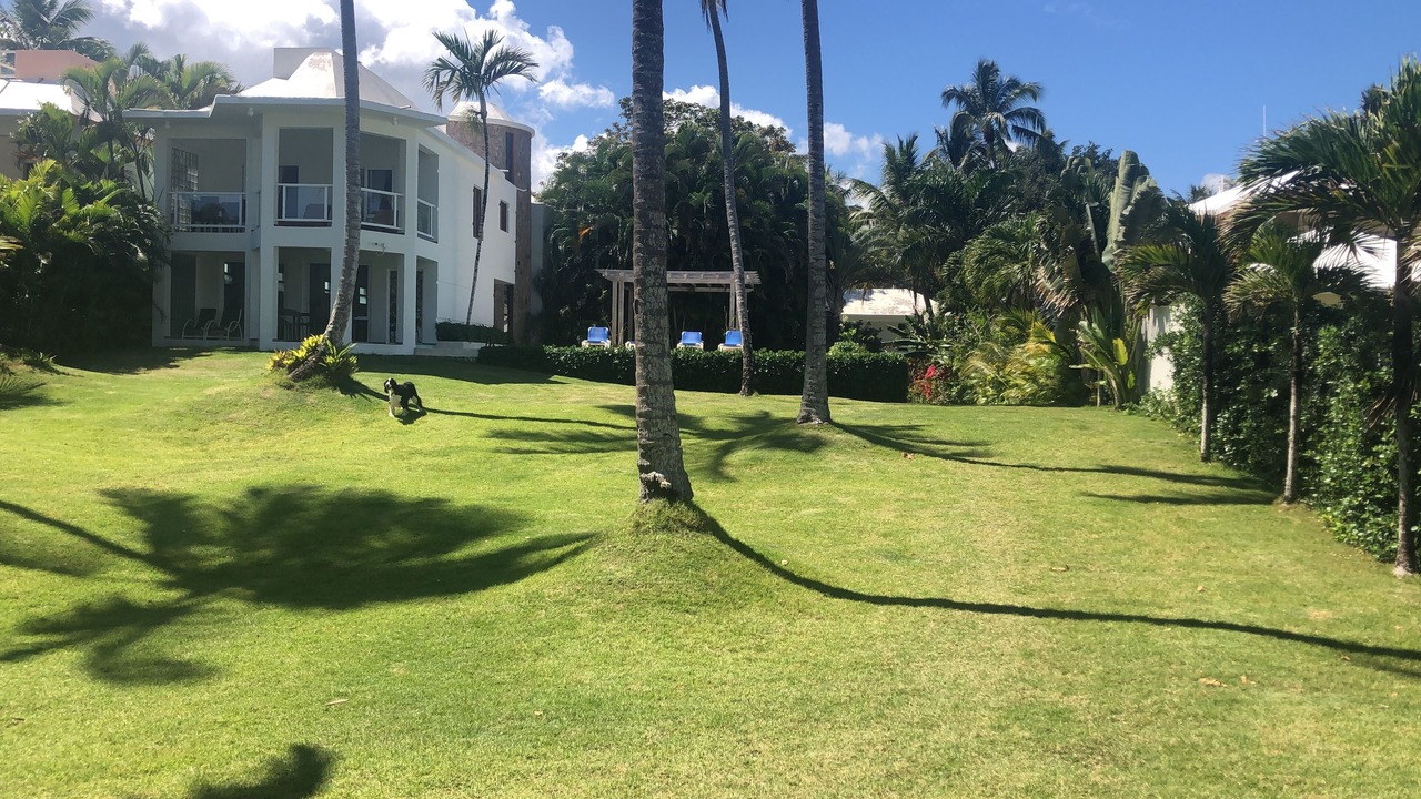 Photo of Outdoor in Las Canas