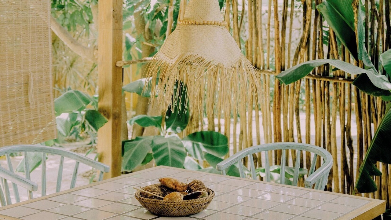 Photo of Outdoor in Punta Cana