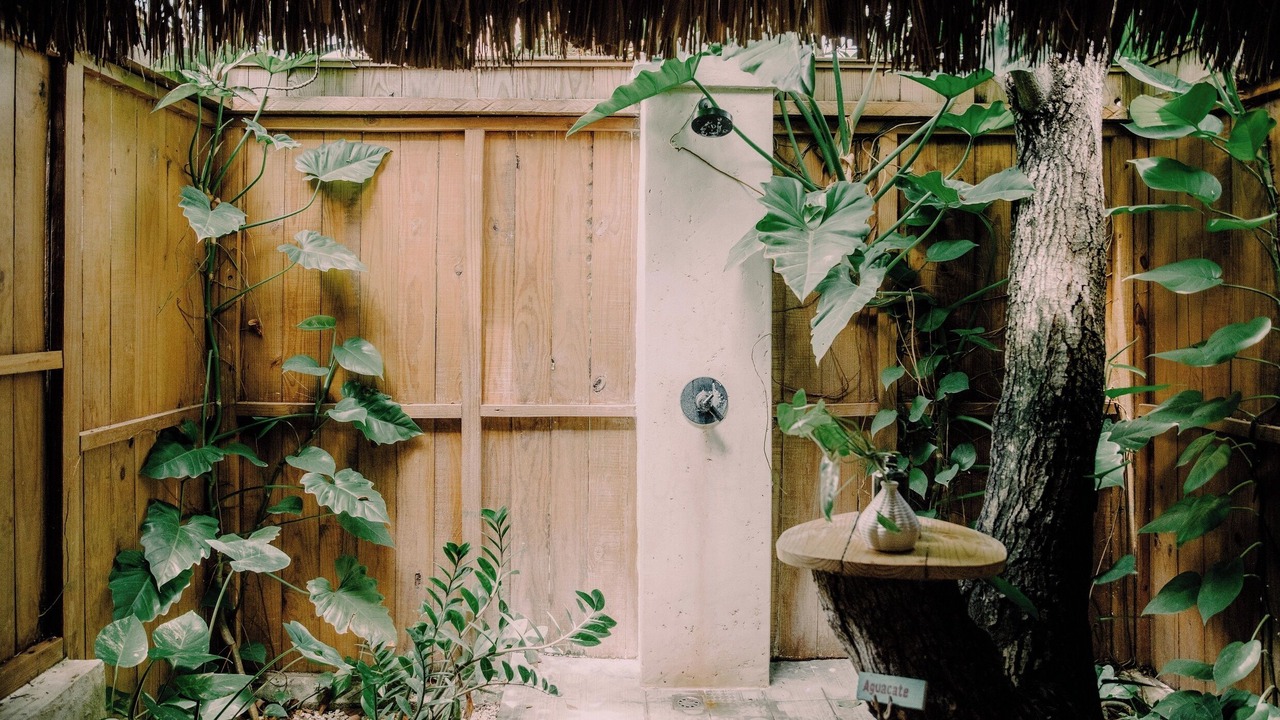 Photo of Outdoor in Punta Cana