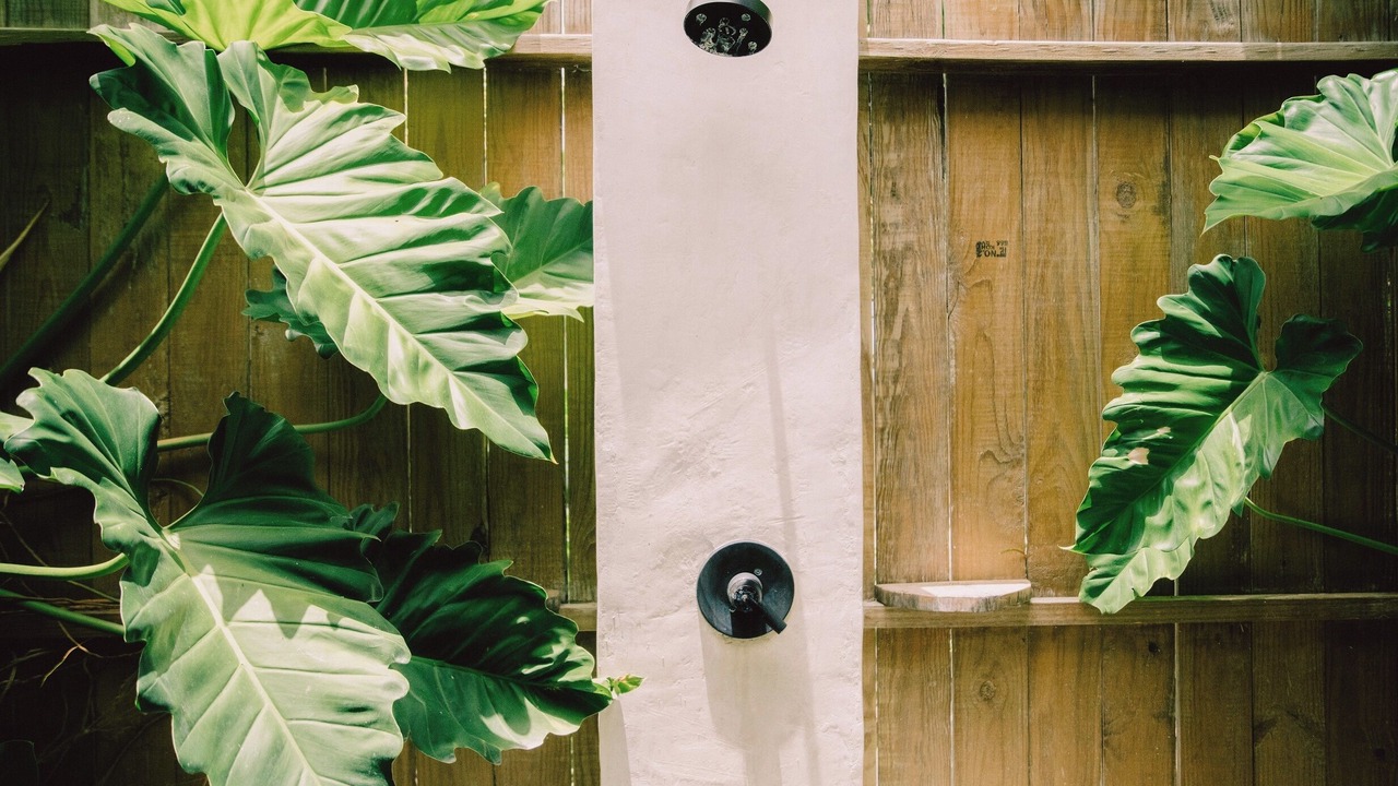 Photo of Outdoor in Punta Cana