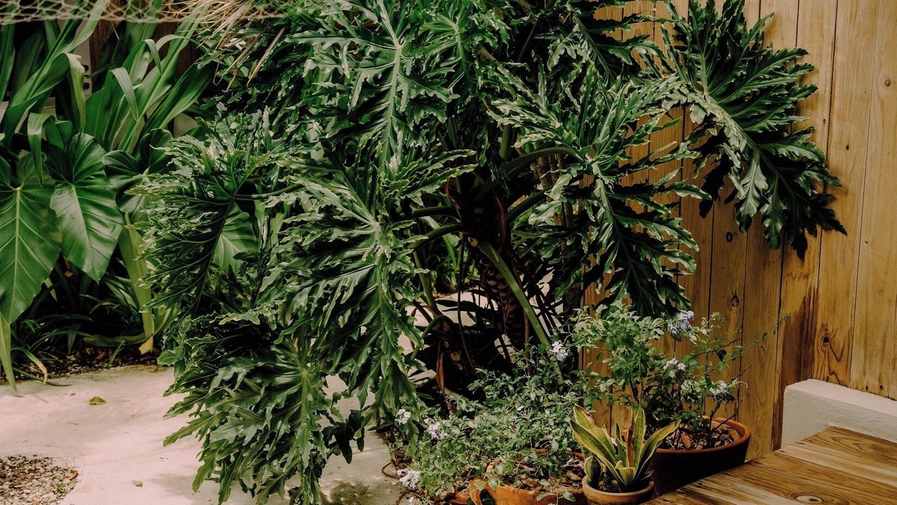 Photo of Outdoor in Punta Cana