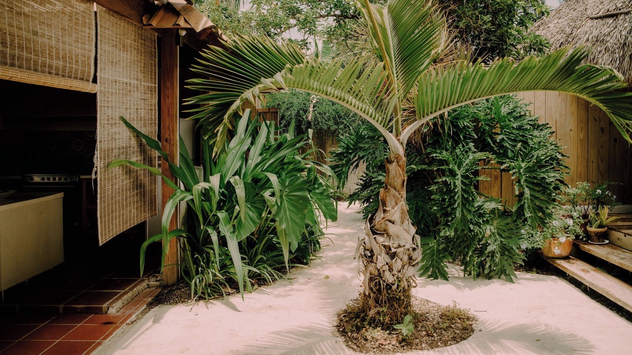 Photo of Outdoor in Punta Cana
