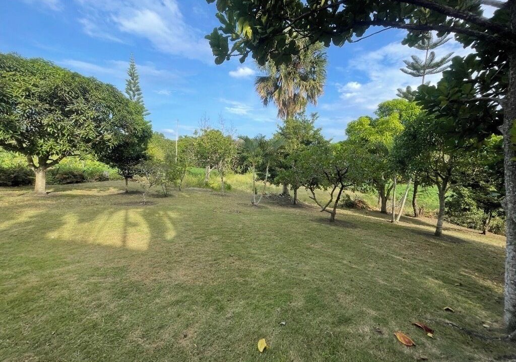 Photo of Outdoor in Salcedo