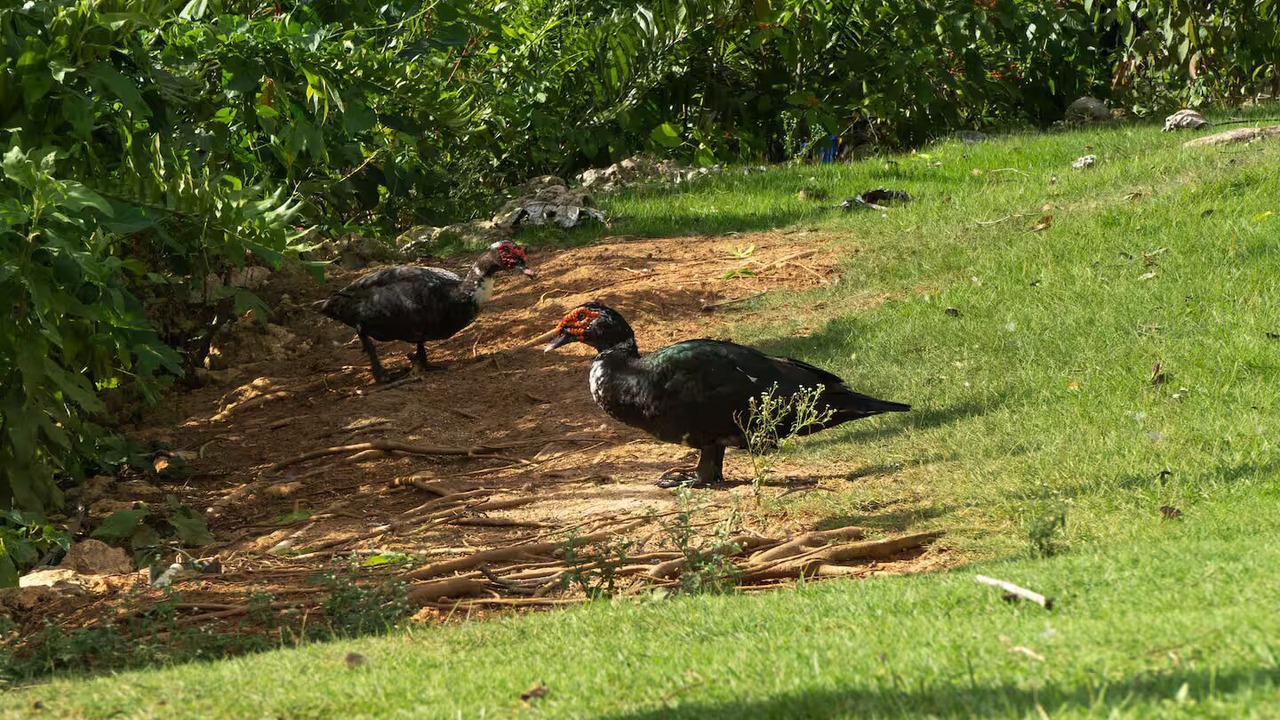 Photo of Others in Las Terrenas