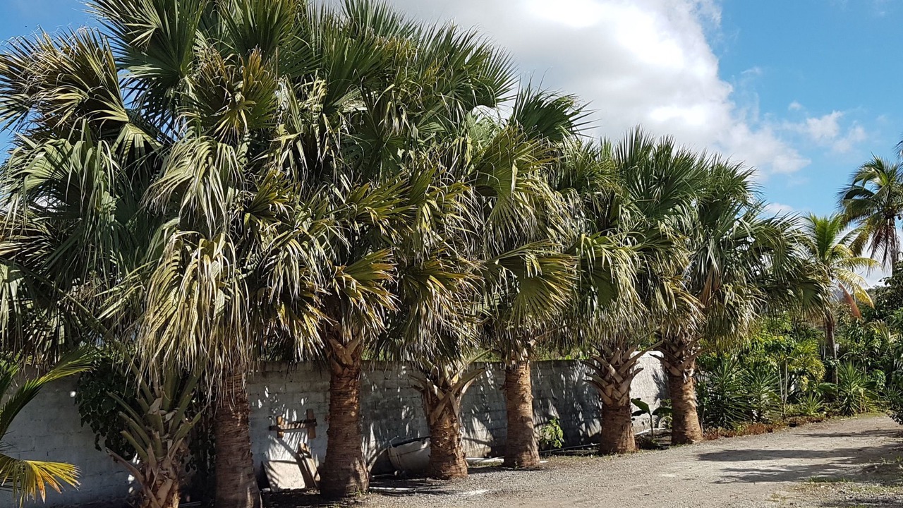 Photo of Outdoor in Bani