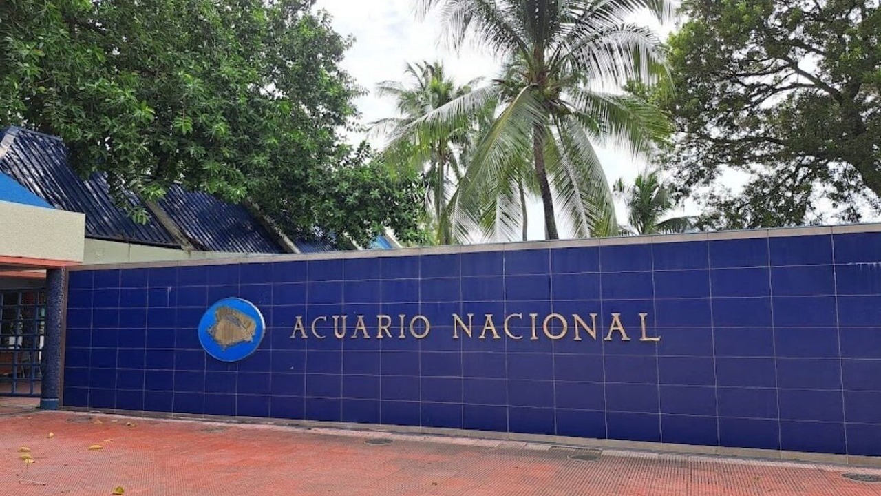 Photo of Outdoor in Santo Domingo