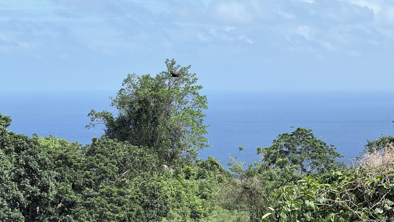 Photo of Others in Cabrera