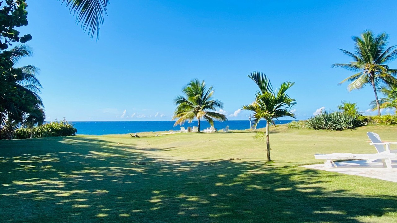 Photo of Outdoor in Playa Chiquita