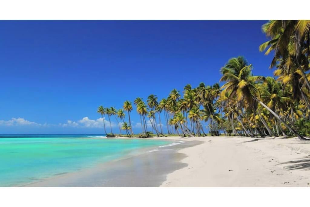 Photo of Others in Miches