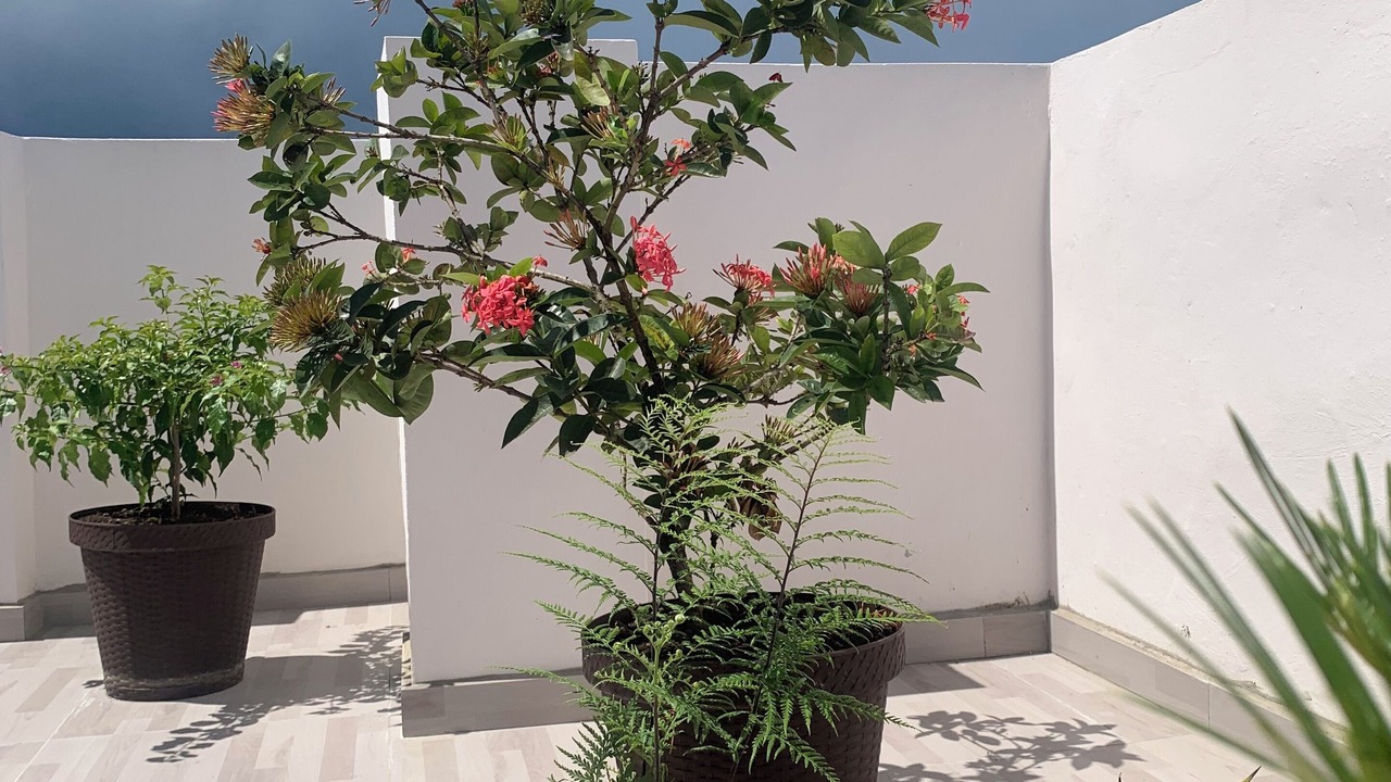 Photo of Outdoor in Monte Plata