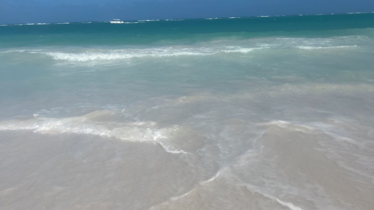 Photo of Others in Bavaro